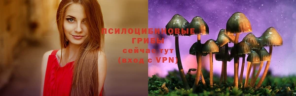прущий лед Алексин